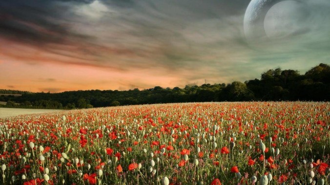 我考了岩土工程师证书挂靠在单位躺了八年，我是废物吗？